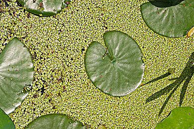 PS三十周年宣传片公布 感谢有你！